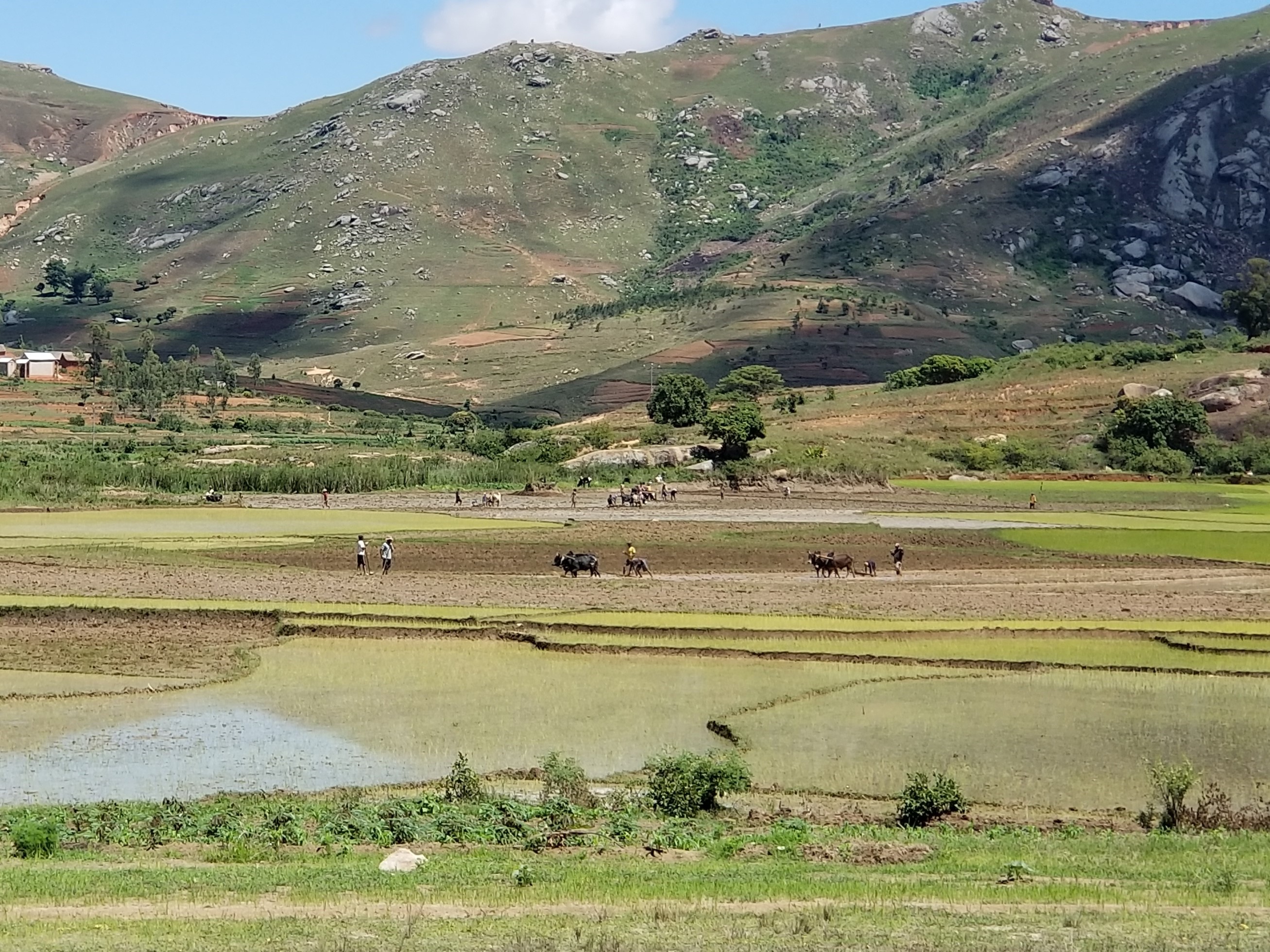 Sustainable & Climate Smart Agriculture